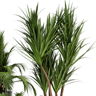 Indoor Plants in Ferm Living Bau Pot Large - Set 226 — Вид 4
