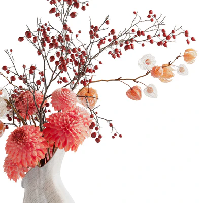 Autumn bouquet with dahlias, physalis and hawthorn — Ver 5