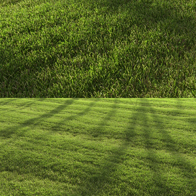 Lawn landscape — Скачать