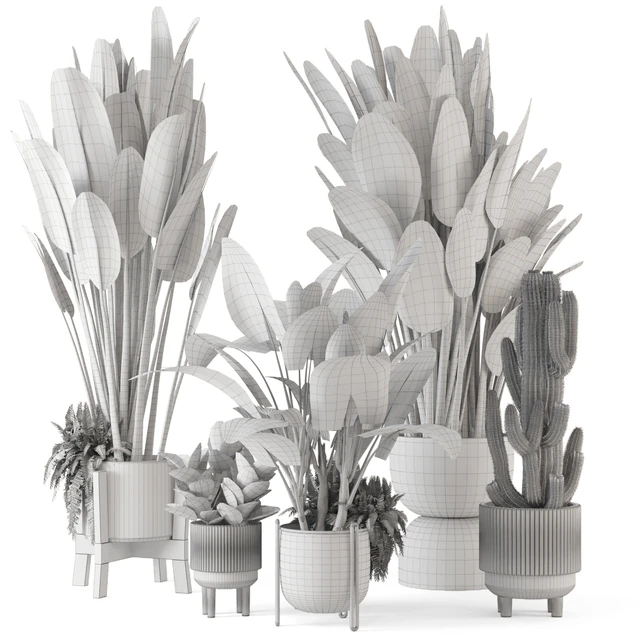 Indoor Plants in Standing Legs Small Bowl Concrete Pot - Set 563 — Descargar