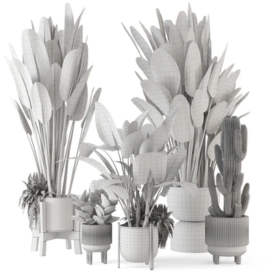Indoor Plants in Standing Legs Small Bowl Concrete Pot - Set 563 — Ver 6