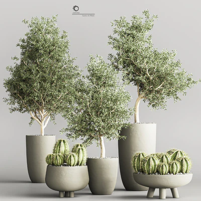 cactus & plant vol 03 — Ver 1