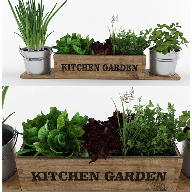 Kitchen garden — Descargar