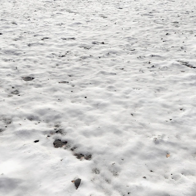 Snow — Descargar