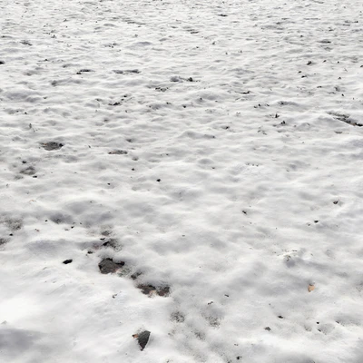 Snow — Ver 1