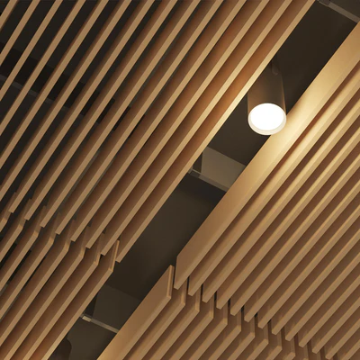 Suspended ceiling rack. 14 — Ver 3