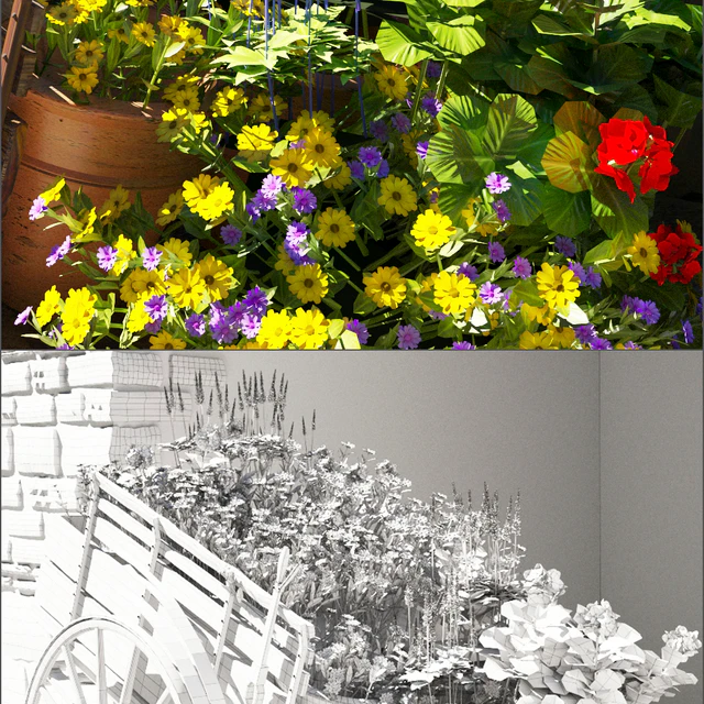 summer flower — Descargar