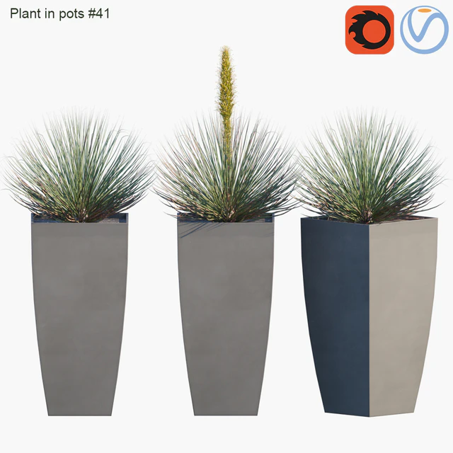 Plant in pots #41 : Agave — Скачать