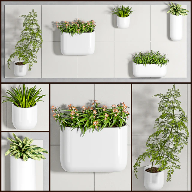 PLANT SET -94 — Скачать