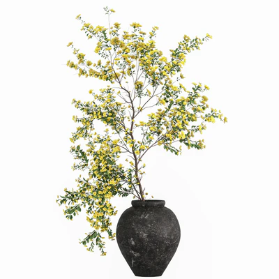 Plants with tiny flowers in pots — Ver 1