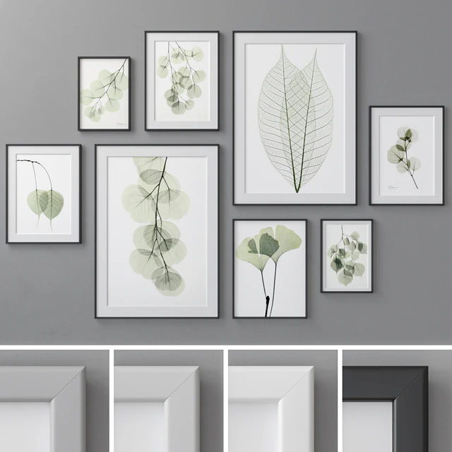 Photo Frames Set 462 — Скачать