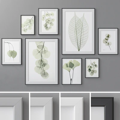 Photo Frames Set 462 — Скачать