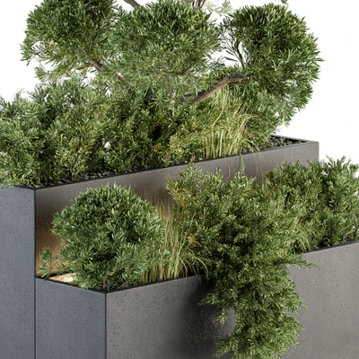 Outdoor Plant Set 214 - Plant Box — Вид 4
