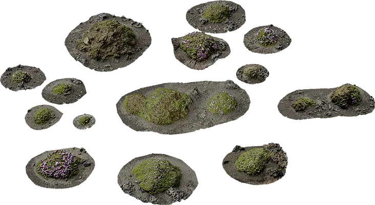 icelandic rock moss scatter 001 — Скачать