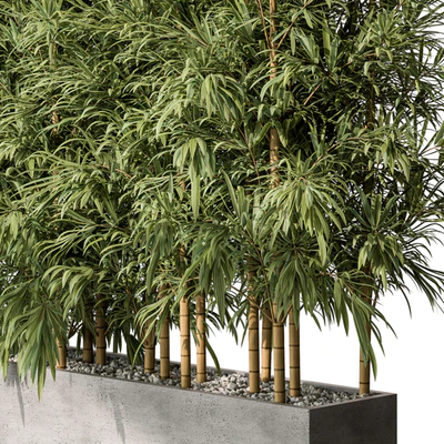 Bamboo Plants - Outdoor Plants 469 — Вид 3