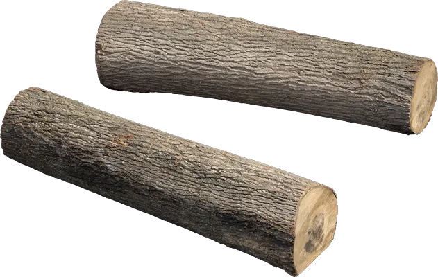 old wooden log 001 — Скачать