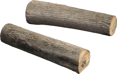 old wooden log 001 — Скачать