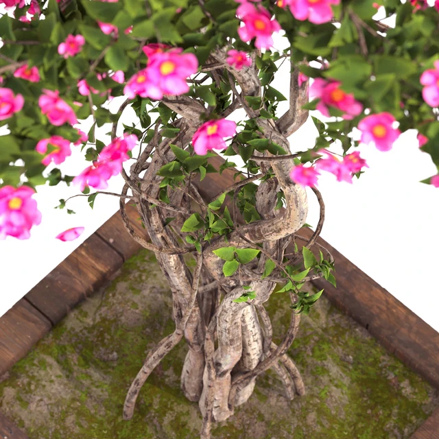 spring outdoor plants 03 — Скачать