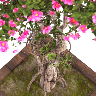spring outdoor plants 03 — Вид 4