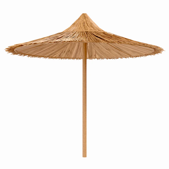 bamboo beach umbrella — Descargar