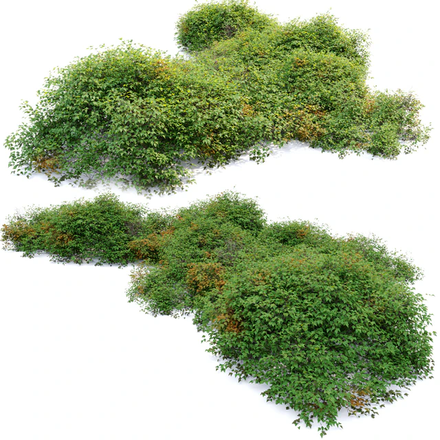 bush 022 — Descargar