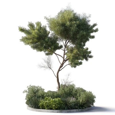 Collection outdoor indoor 81 pot plant & tree & bush & fern the garden pot corona — Ver 4