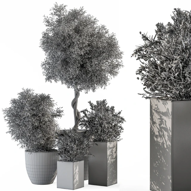 Outdoor Plant Set 273 - Plant Set in Concrete Pot — Descargar