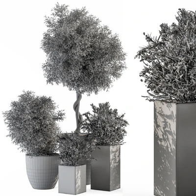 Outdoor Plant Set 273 - Plant Set in Concrete Pot — Ver 4
