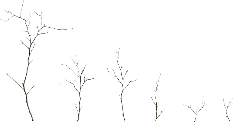 thin branches 001 — Descargar