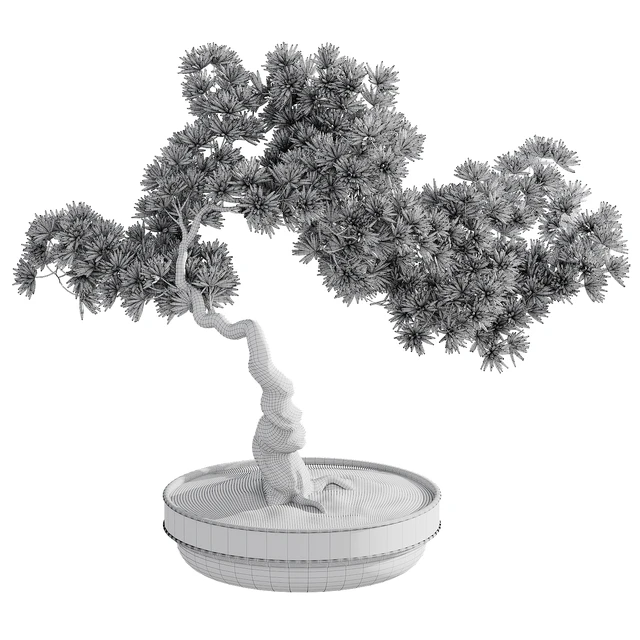 Bonsai plant — Скачать