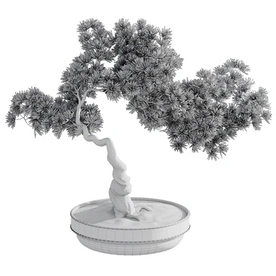Bonsai plant — Вид 2