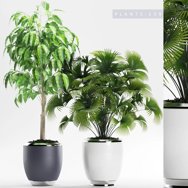 PLANTS 139 — Descargar