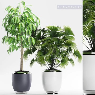 PLANTS 139 — Descargar