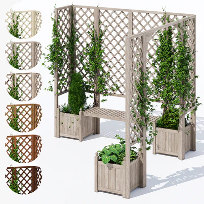 Eucalyptus deck — Вид 1