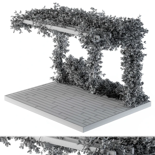 Ivy Plants on Pergola — Descargar