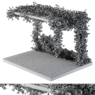 Ivy Plants on Pergola — Ver 4