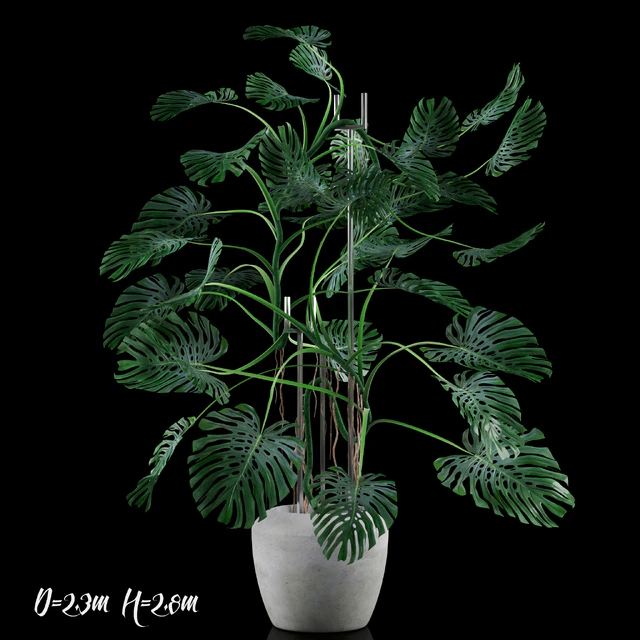 Big Monstera/Большая Монстера — Скачать