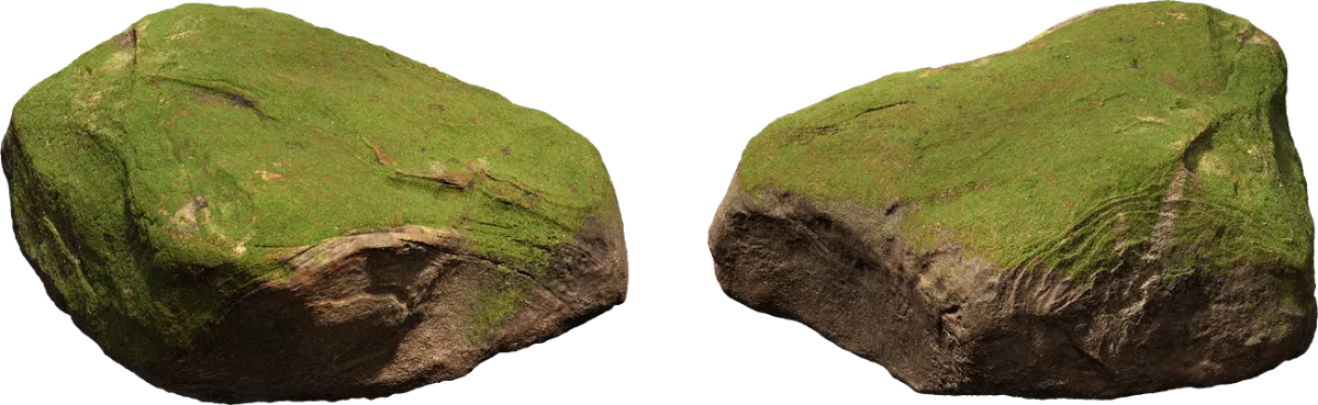 mossy forest boulder 008 — Скачать