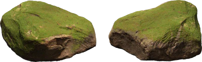 mossy forest boulder 008 — Скачать