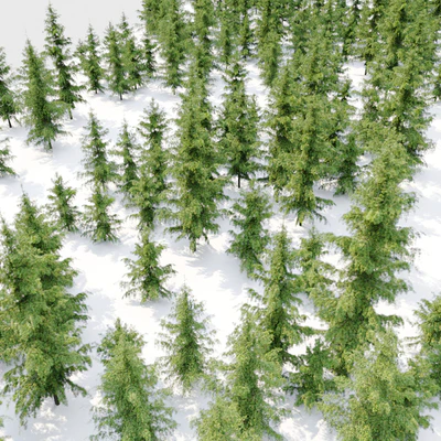 Cedrus Deodara — Ver 4