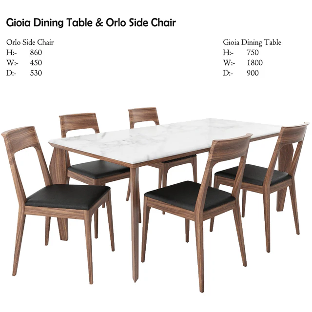 Gioia Dining Table & Orlo Side Chair — Descargar