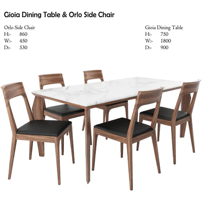 Gioia Dining Table & Orlo Side Chair — Descargar