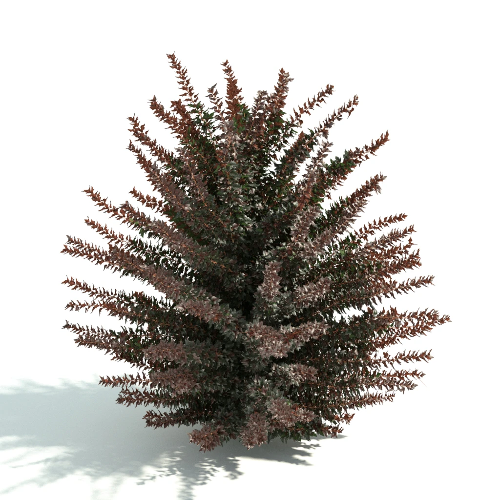 hedges 042 — Descargar