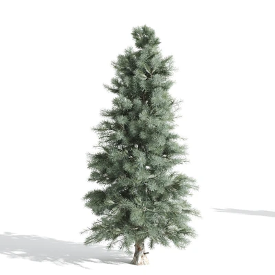 3 Pine tree — Ver 5