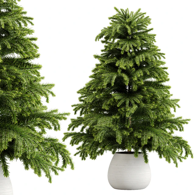 indoor plant Set 18 — Скачать