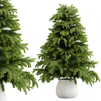 indoor plant Set 18 — скачать