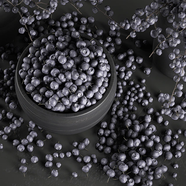 A collection of bouquets of branches with blueberries in black vases with blueberries, a bowl with berries, natural decor. Set 549. — Descargar
