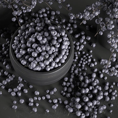 A collection of bouquets of branches with blueberries in black vases with blueberries, a bowl with berries, natural decor. Set 549. — Ver 4