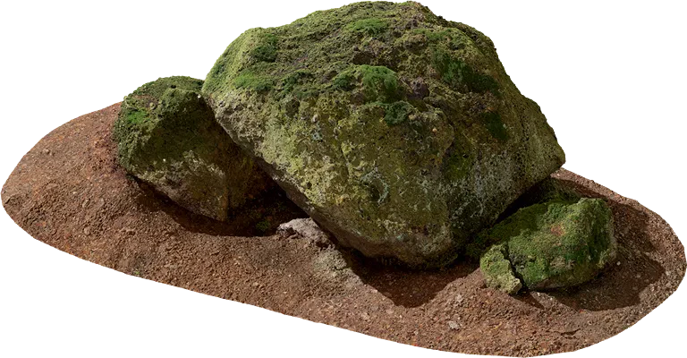 mossy forest rock 013 — Descargar
