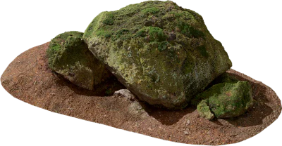 mossy forest rock 013 — Descargar